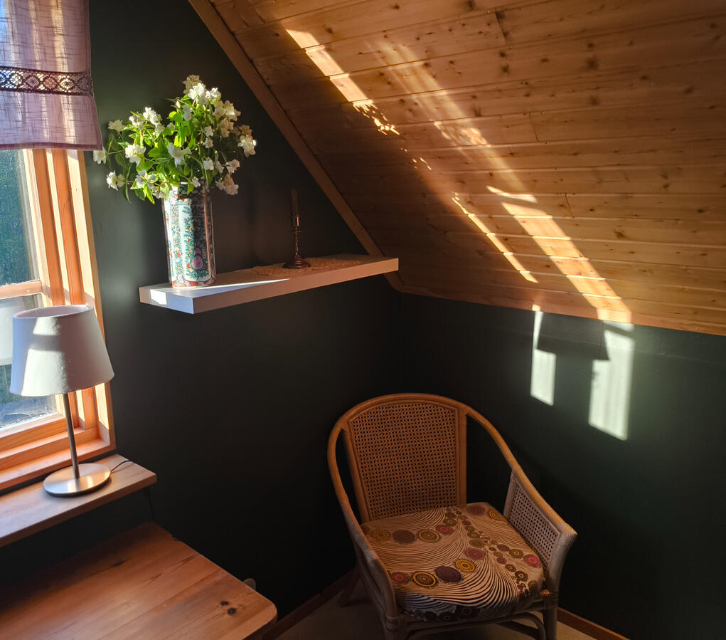 Sunbeam from the forest. West Cottage Sweden, Åsensbruk